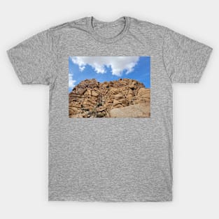 Jumbled Rocks T-Shirt